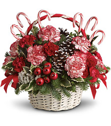 Candy Cane Christmas from Martha Mae's Floral & Gifts in McDonough, GA